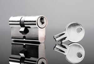 Pimlico locksmith extracting a snapped key from a euro cylinder